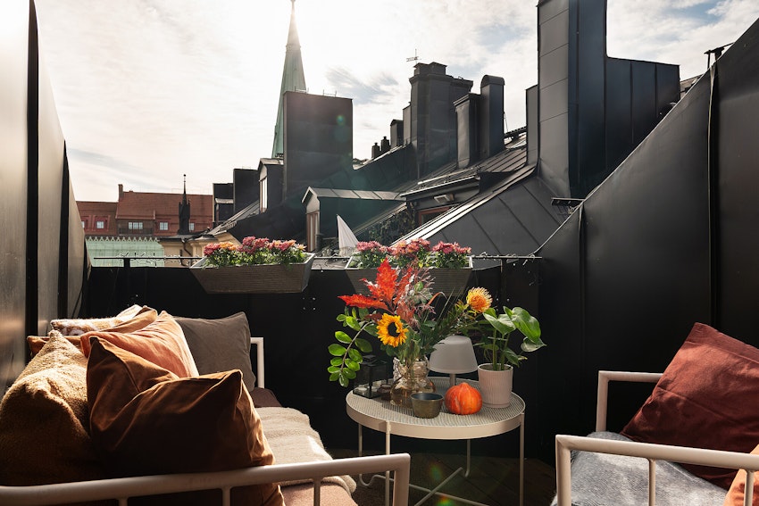 FREDAGSHUS! TVÄTTA HÅRET BLAND TAKÅSARNA, foto #13 av Malin Wollin