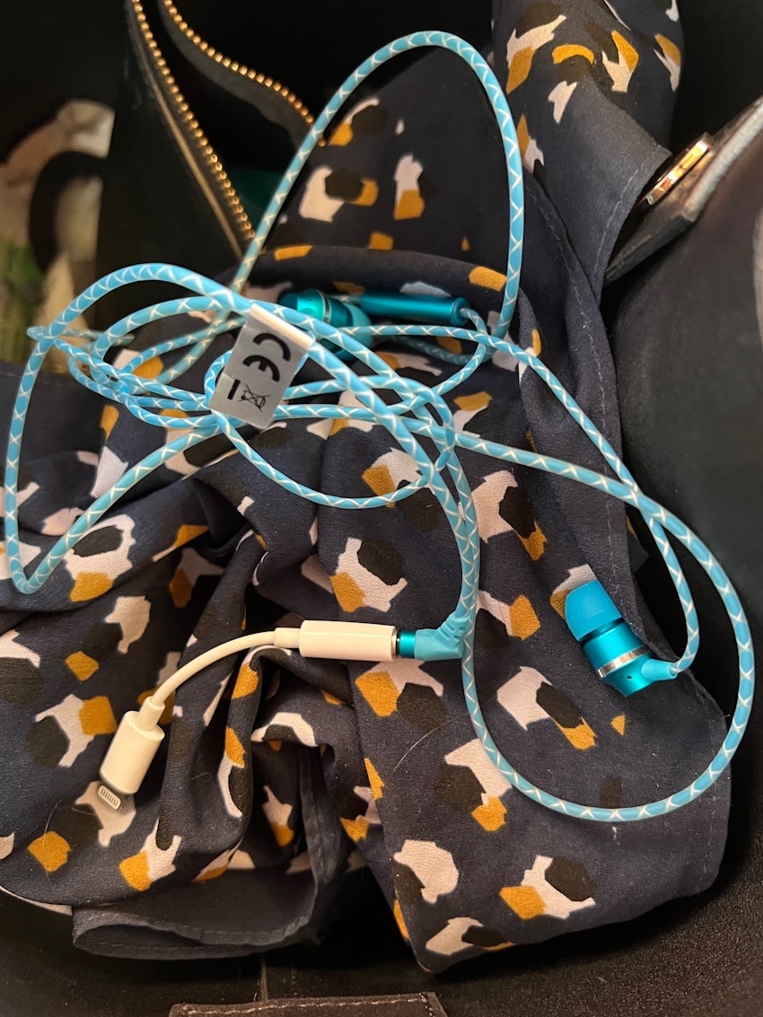 Hund som en dum, foto #1 av Malin Wollin