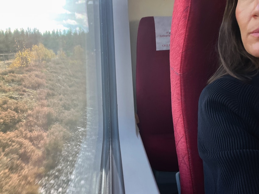 Öppna alla dörrar för mig, foto #2 av Malin Wollin