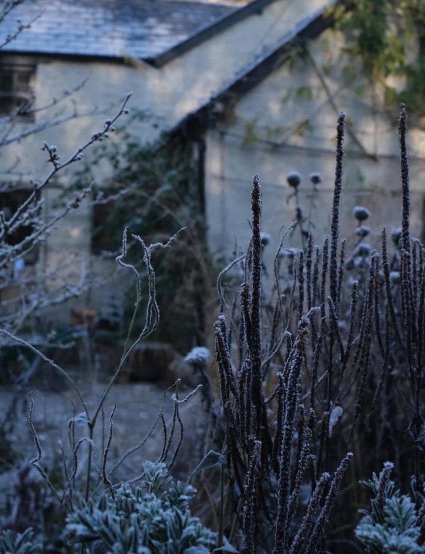 December, foto #5 av Elsa Billgren